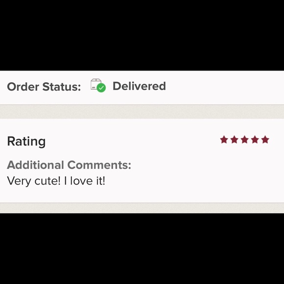 Back in Stock! NWT Thick Lined Beanie with Pom Pom - Picture 5 of 5